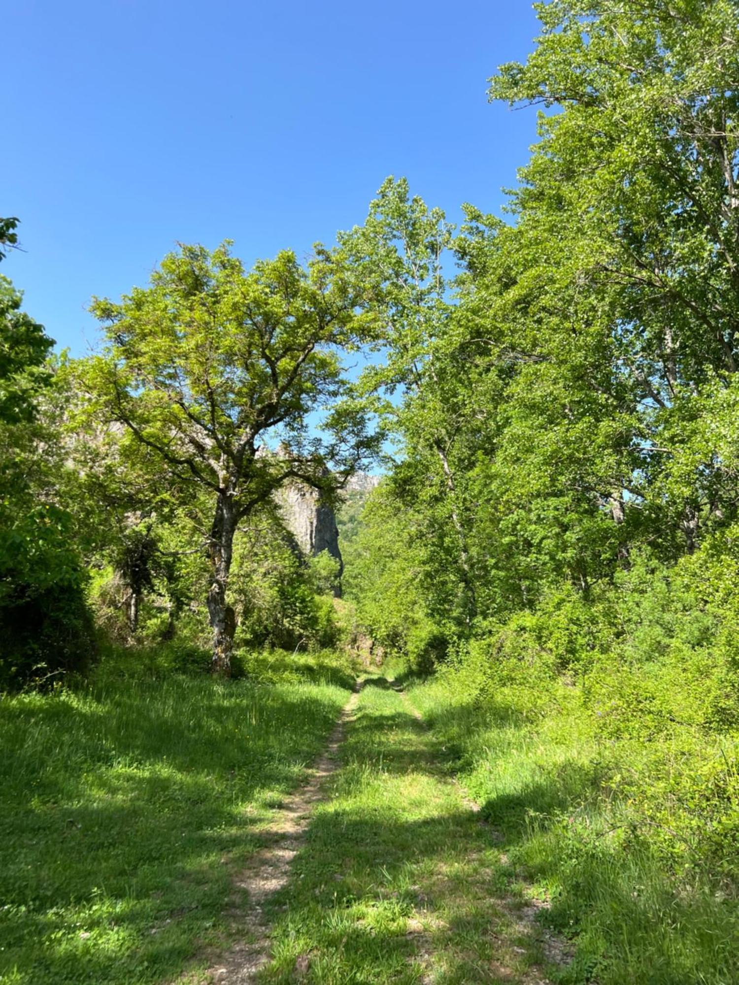 El Refugio I De Verdiago Kültér fotó
